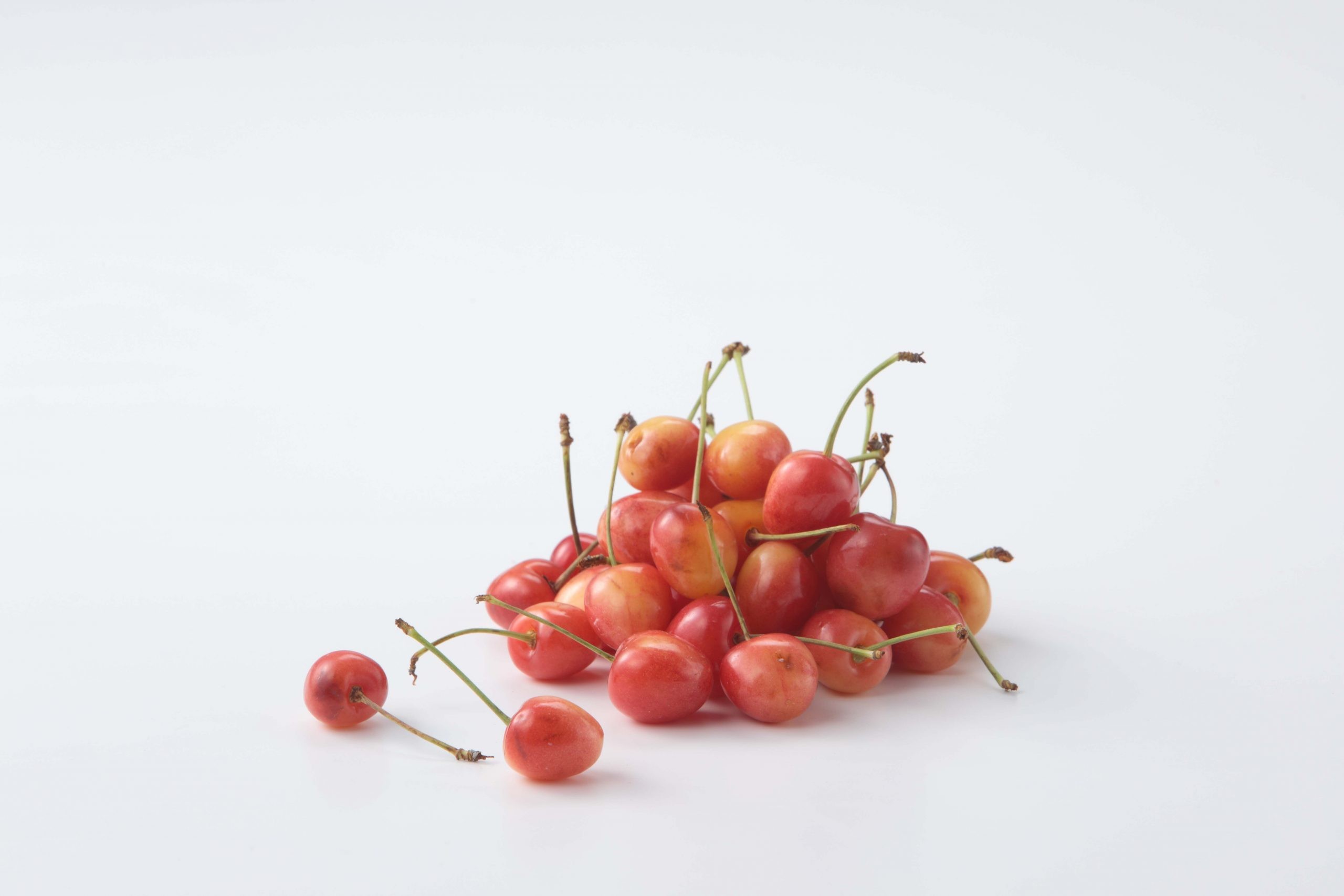 Cherry Powder Koken 拿破崙櫻桃冷凍乾燥精華