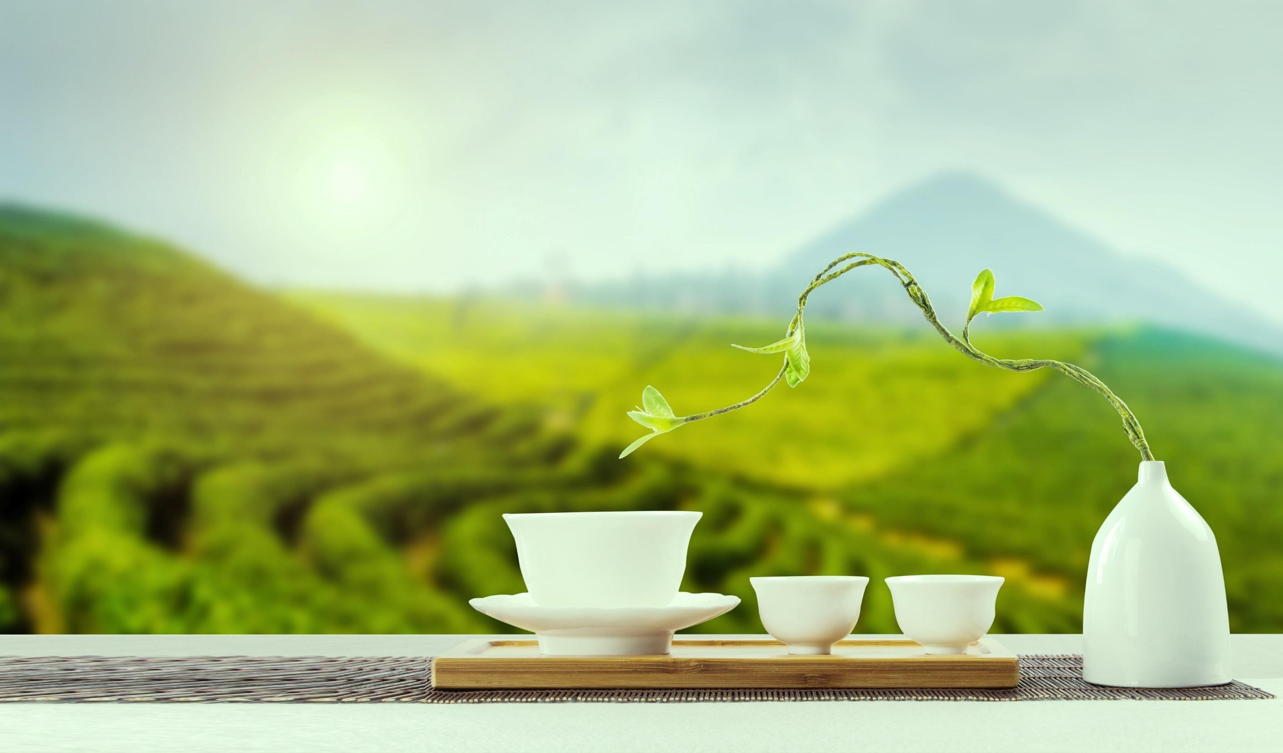 PhytoBio™ Whitea 馥月白™ 白茶發酵產物