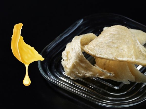 Swiftlet Nest Extract 燕窩萃取液